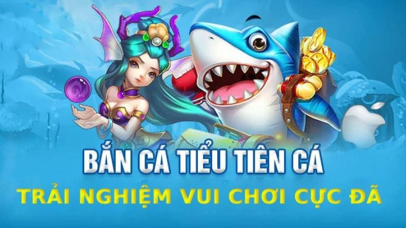 Hướng dẫn người chơi tham gia bắn cá tiểu tiên nhanh chóng